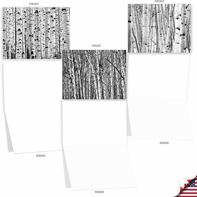 The Best Card Company - 10 Blank Note Cards with Envelopes (4 x 5.12 Inch) - Black & White Photos, Bulk Boxed Set - Whitewoods M6451OCB