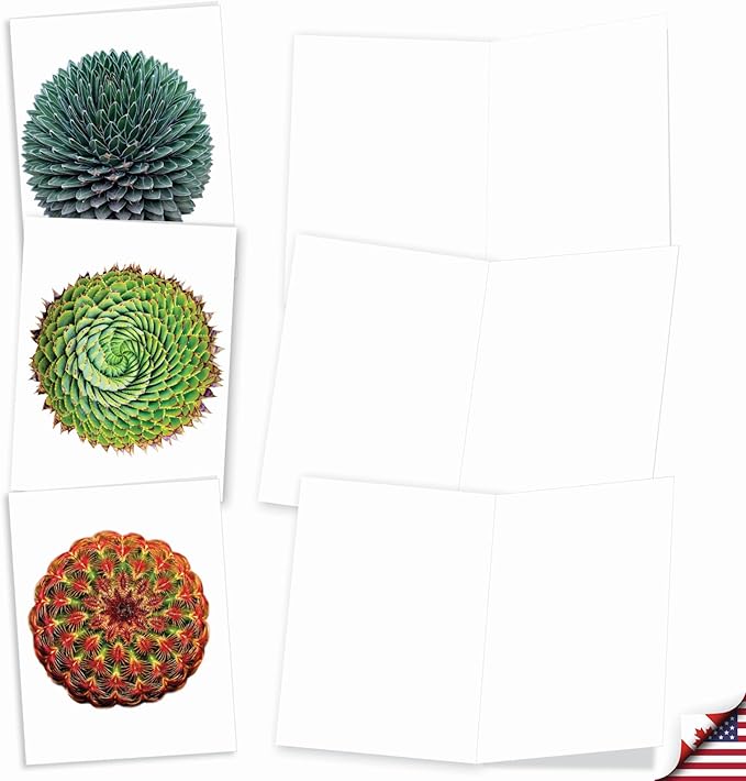 The Best Card Company - 20 Assorted Blank Plant Cards Boxed (4 x 5.12 Inch) (10 Designs, 2 Each) - Luscious Succulents AM6287OCB-B2x10