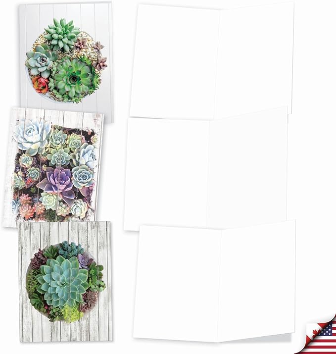 The Best Card Company - 20 Assorted Blank Plant Cards Boxed (4 x 5.12 Inch) (10 Designs, 2 Each) - Shiplap Succulents AM6438OCB-B2x10