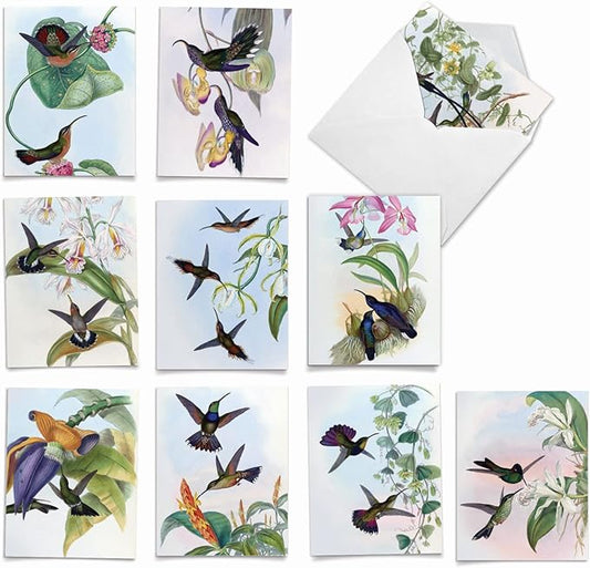 The Best Card Company, 10 Assorted Blank Bird Notes (4 x 5.12 Inch) - Boxed Vintage Illustrations All Occasion Hummingbirds Notecards Bulk Set w/Envelopes (1 of 10 Designs) - Humming Along M10034BK