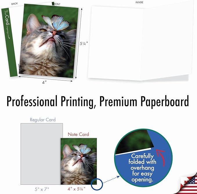 The Best Card Company - 10 All Occasion Blank Cat Cards (4 x 5.12 Inch) - Cute Assorted Bulk Card Set - On The Nose M4947OCB-B1x10