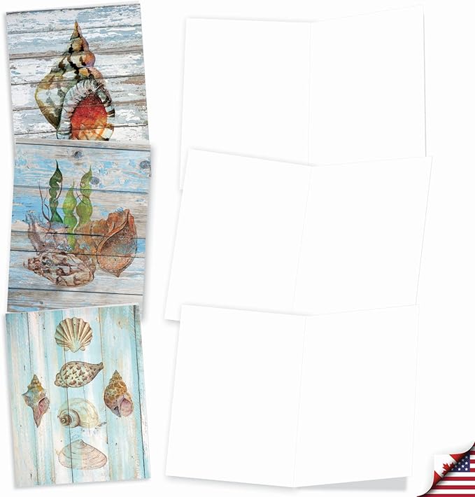 The Best Card Company - 10 Blank Note Cards with Envelopes (4 x 5.12 Inch) - Bulk All Occasion Cards Boxed - Seashell Driftwood AM6118OCB-B1x10