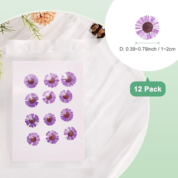 12-Pack Dried Pressed Flowers for Resin, Real Natural Bulk Dry Floral for Crafts/DIY Jewelry/Soap Making/Scrapbooking/Candle/Epoxy Resin Supplies [Dark Purple]