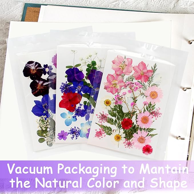 Real Dried Pressed Leaves Natural Dried Leaf for Candle Resin Jewelry Soap Nail Pendant Phone Case Crafts Making Floral Decors Scrapbooking DIY (68 Pcs Real Dried Leaves Flowers)