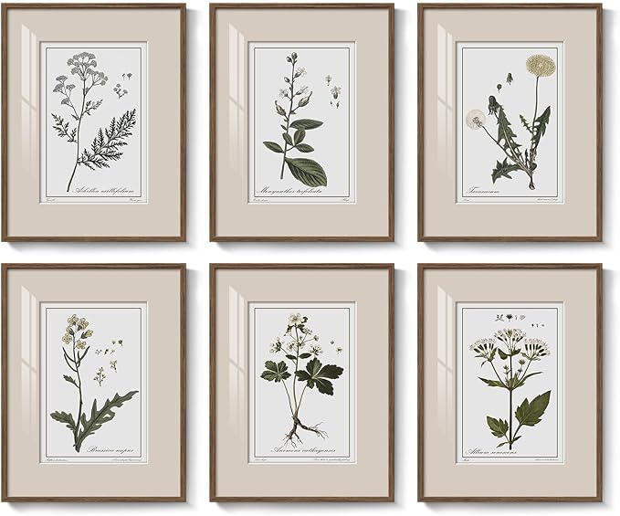 Framed Vintage Botanical Wall Art for Living Room, 6 Piece Rustic Floral Canvas Painting Prints Artwork for Kitchen Walls, Neutral Flower Pictures for Bedroom Dining Room Farmhouse Wall Decor, 11x14