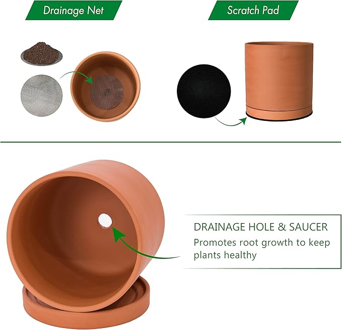 D'vine Dev Small 6 Inch Terracotta Plant Pot with Drainage Hole and Saucer, Round Cylinder Planter Pot for Indoor Plants, 40-X-A-3