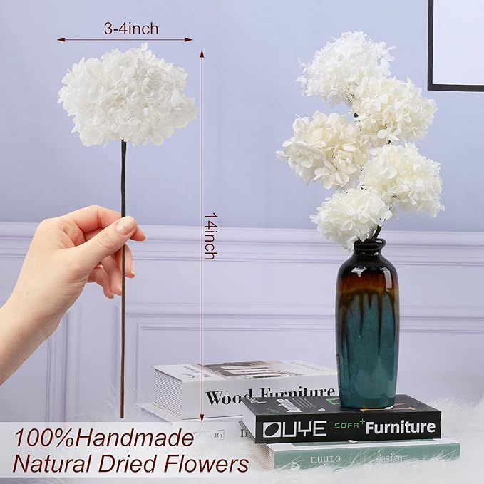 5 PCS Dried Preserved White Hydrangea Flowers - Length 14'' Corolla Size 3''-4'' Real Hydrangeas Petals Handmade for Vase, Arrangement Boho Style Home House Office Wedding Shower Valentine's Decor