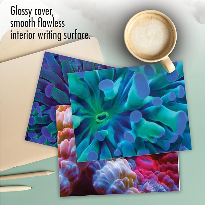 The Best Card Company - 10 All Occasion Blank Cards for Men and Women (4 x 5.12 Inch) - Nautical, Ocean, Sea Life Assortment of Notecards - Under the Sea M3103