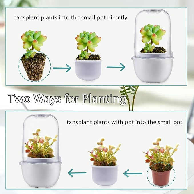 Venus Fly Trap Terrarium Pot with Timer Grow Light&Fan,Plant Terrarium kit for Moss&Cactus,Smart Planter for Carnivorous Plants&Butterwort,Valentine Birthday Gifts for Women Garden Lover(no Plant)