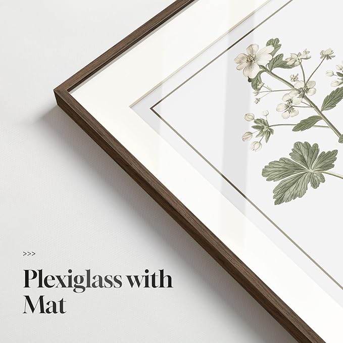 Framed Vintage Botanical Wall Art for Living Room, 6 Piece Rustic Floral Canvas Painting Prints Artwork for Kitchen Walls, Neutral Flower Pictures for Bedroom Dining Room Farmhouse Wall Decor, 11x14