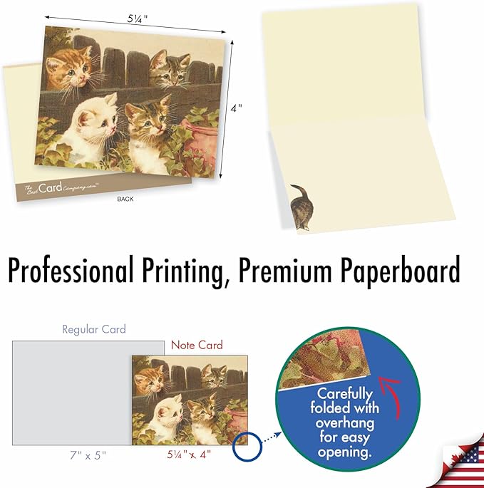The Best Card Company - 10 Adorable Blank Cat Cards (4 x 5.12 Inch) - Cute Pet Kittens, Assorted Bulk Notecard Set - Cutey Cats M1732BN