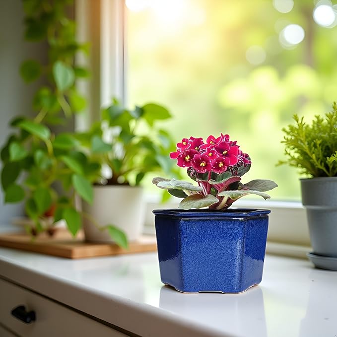 African Violet Pots 6 inch Hexagon Self-Watering Ceramic Violet Pots 4.50'' Opening (Blue)