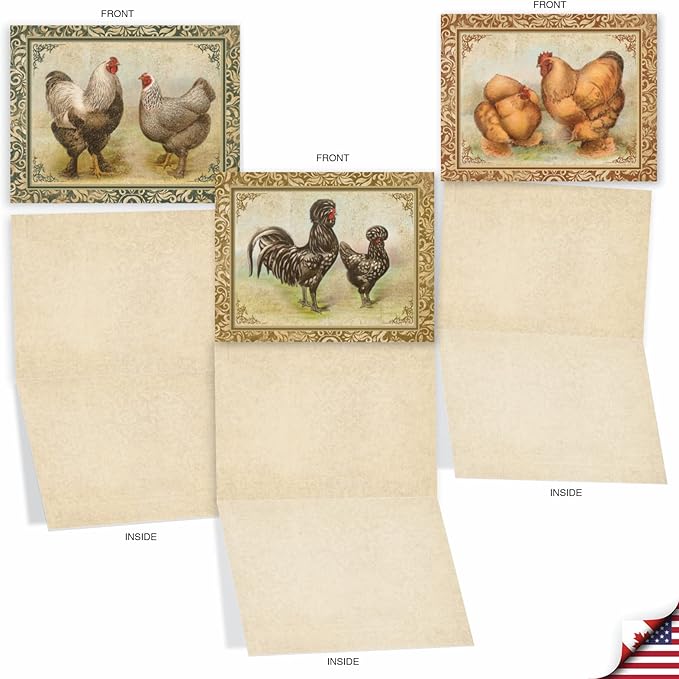 The Best Card Company - 10 Bird Note Cards Blank (4 x 5.12 Inch) - All Occasion Cards with Envelopes, Boxed Set - Card-A-Doodle-Do M2351OCB