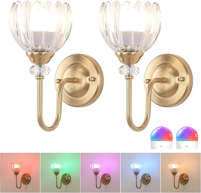 Set of 2 Vintage Battery Operated Wall Sconce, Rechargeable Wall Lamp with 5000mAh Battery & Remote Control, Dimmable Wall Lights with tulip shade for Bedroom Living Room(Tulip Transparent Up)