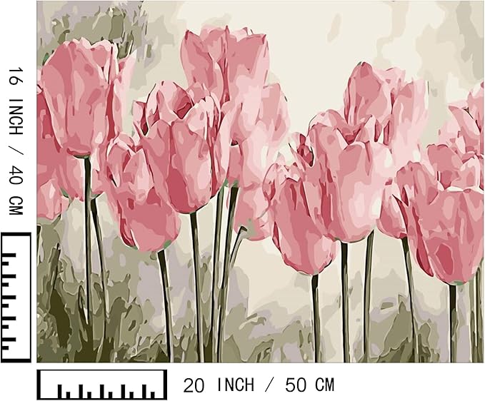 BAISITE Paint by Numbers Kit for Adults Beginners,20" Wx16 L Canvas for Painting Kits for Adults in Colorful Box Poppy Flowers-BSC002-Already Stretched on a Wooden Frame