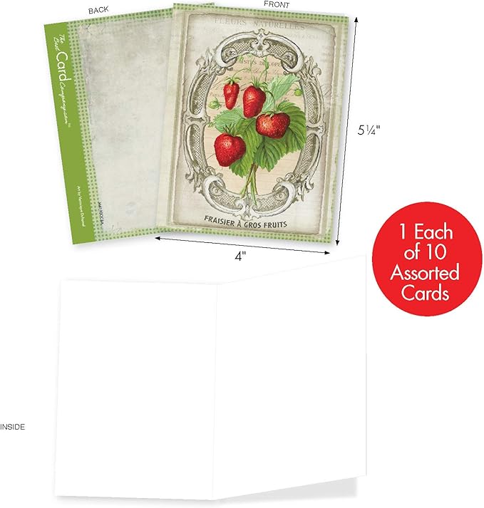 The Best Card Company - 10 Retro Blank Cards with Envelopes (4 x 5.12 Inch) - Artistic Boxed Assortment, Vintage Note Cards - French Fruit M4190OCB-B1x10