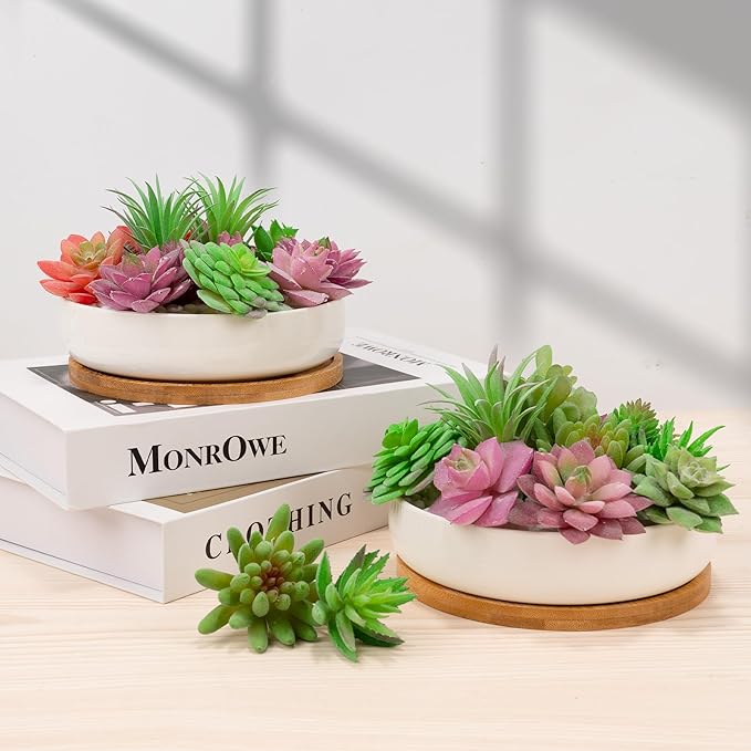 2 PCS Succulent Pot Cactus Containers White Ceramic Planter with Drainage Hole and Removable Tray Small Plant Pots for Home Office Decor Bonsai Container for Indoor Outdoor Plants (Circle)