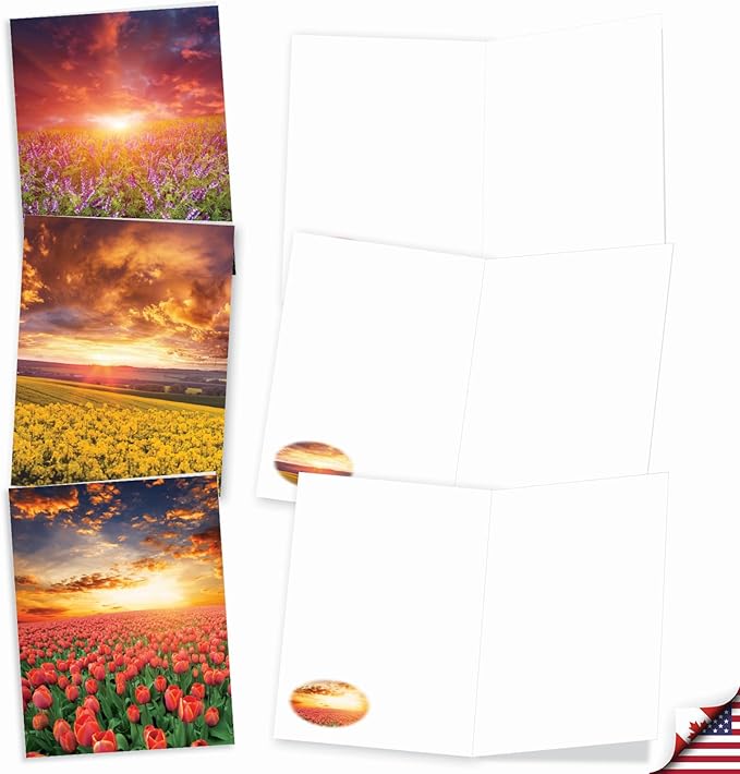The Best Card Company - 20 Landscape Nature Note Cards Blank (4 x 5.12 Inch) (10 Designs, 2 Each) - Blooming Sunsets AM9263OCB-B2x10