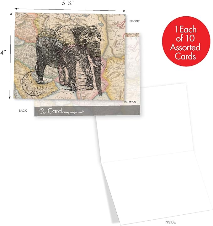 The Best Card Company - 10 Blank Animal Cards Boxed (4 x 5.12 Inch) - Assorted Pets, Zoo, Wildlife Cards for Kids - Trunk Mail M9636OCB