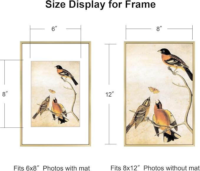 8x12 Picture Frame Set of 3, Brass Aluminum Metal Photo Frames with HD Glass, Fits 6x8 with Mat or 8 x 12 without Mat, Display for Wall