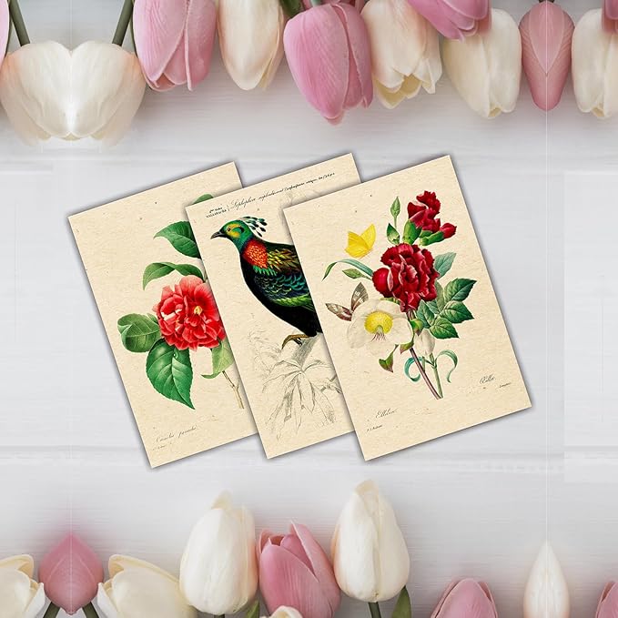 PARTH iMPEX 36 Blank Vintage Note Cards with Envelopes and Stickers – 4x6 Botanical Greeting Cards Bulk – Floral Birds Leaves Animal Retro All Occasion Thank You Cards for Personal Business Use