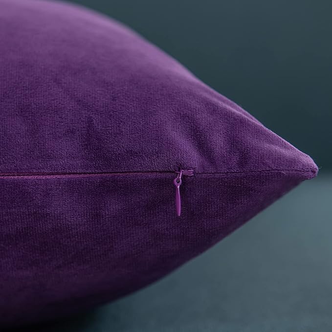 18x18 Throw Pillow Cases Purple: 2 Pack Cozy Soft Velvet Square Decorative Pillow Covers for Farmhouse Home Decor