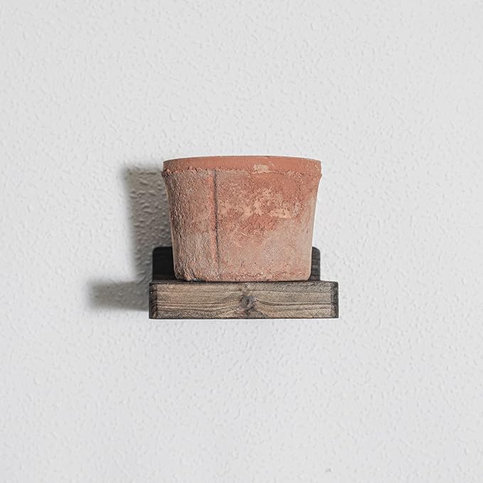 Freezing point Small Floating Shelf for Wall Set of 4 Natural Wood 4Inch Mini Wall Shelves Decor Plant Display Collectibles Mounted Kitchen Bathroom Bedroom Corner Decorative Storage Tiny Stand Brown