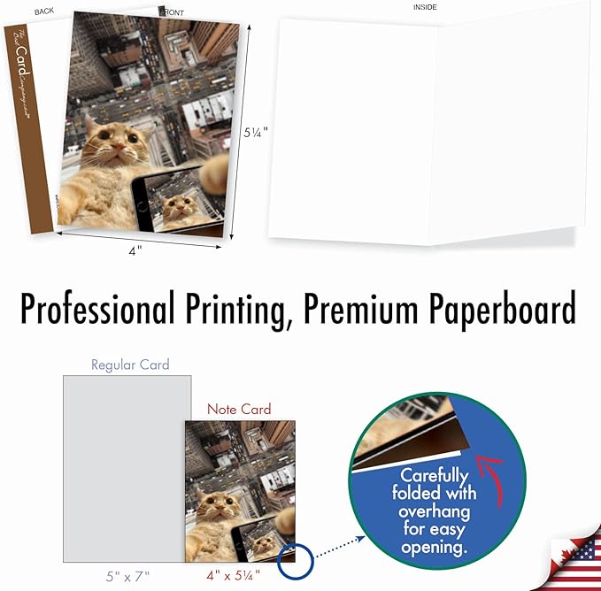 The Best Card Company - 10 Adorable Blank Cat Cards (4 x 5.12 Inch) - Cute Pet Kittens, Assorted Bulk Notecard Set - Cats Selfie M4953OCB-B1x10-NB