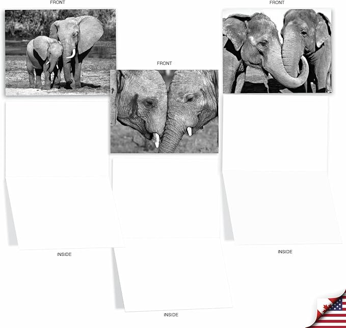 The Best Card Company - 10 Blank Note Cards with Envelopes (4 x 5.12 Inch) - Black & White Photos, Bulk Boxed Set - Trunks of Love M2370OCB