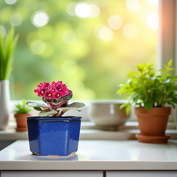 African Violet Pots 6 inch Hexagon Self-Watering Ceramic Violet Pots 4.50'' Opening (Blue)