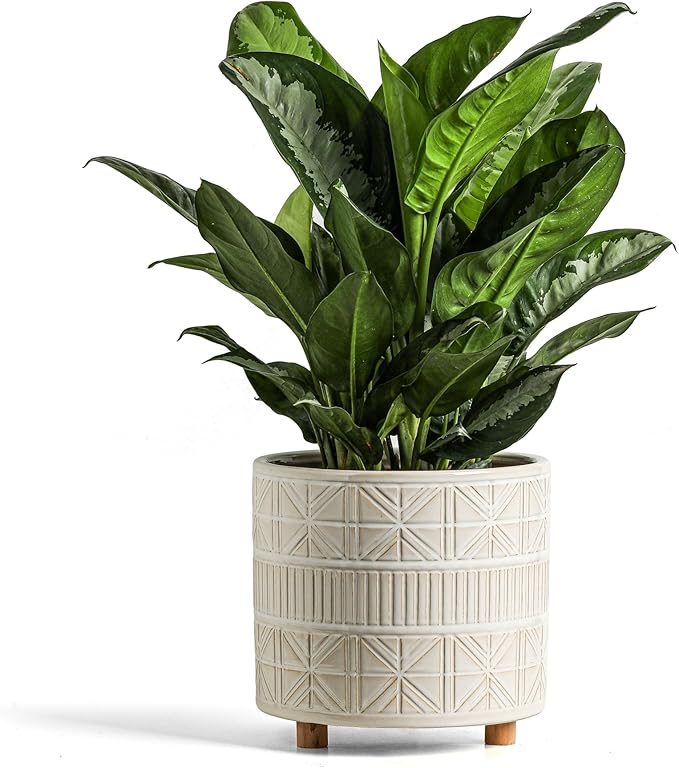 Ceramic Plant Pot with Foots: 10 Inch Planter with Wooden Legs - Large Pots for Indoor Plants - Modern Flower Pot for Home Office Patio Garden Windowsill