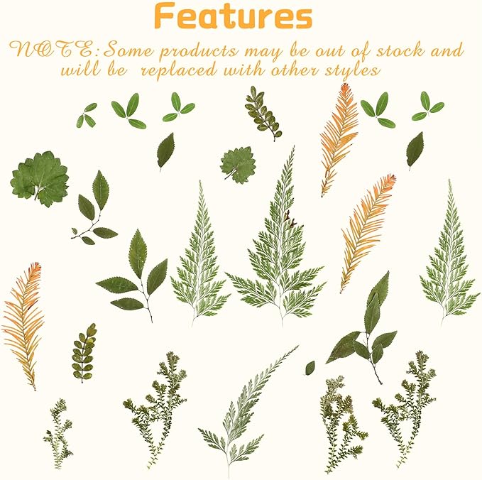 Nuanchu 99 Pieces Assorted Pressed Leaves for Crafts Real Dried Leaves for Resin Plant Herbarium Flowers for Art Craft DIY Jewelry Decoration Handmade Bookmarks, 5 Bags (Stylish Style)