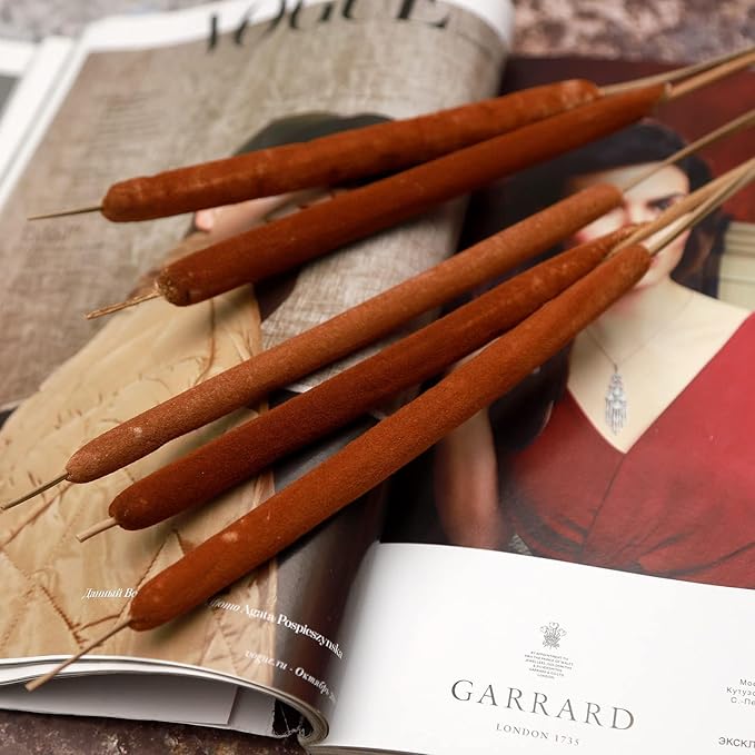 Dried Natural Cattails - 20PCS Jumbo Size for DIY Floral Arrangements and Home Office Decor - 0.75" Dia - 24 Inch Length