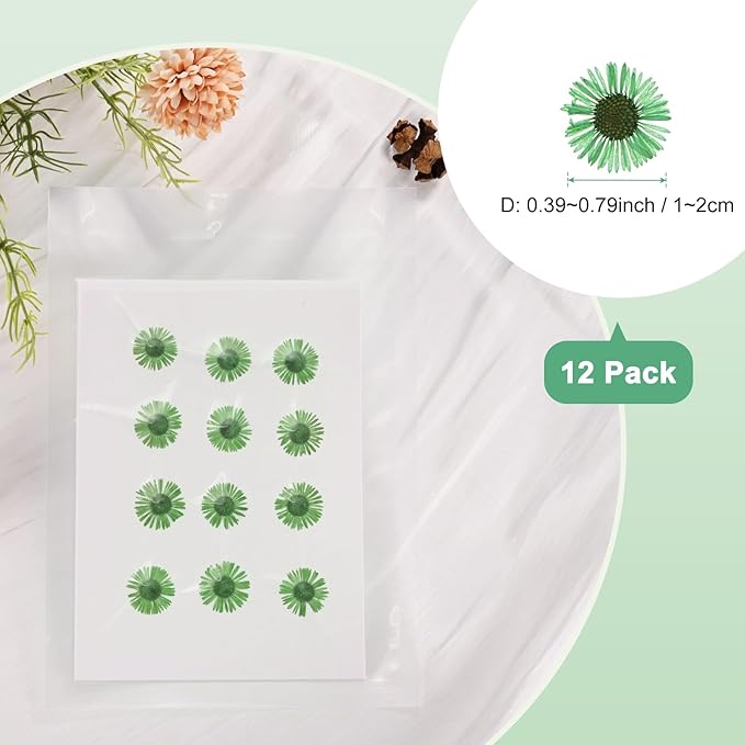 12-Pack Dried Pressed Flowers for Resin, Real Natural Bulk Dry Floral for Crafts/DIY Jewelry/Soap Making/Scrapbooking/Candle/Epoxy Resin Supplies/Photo Frames [Green]