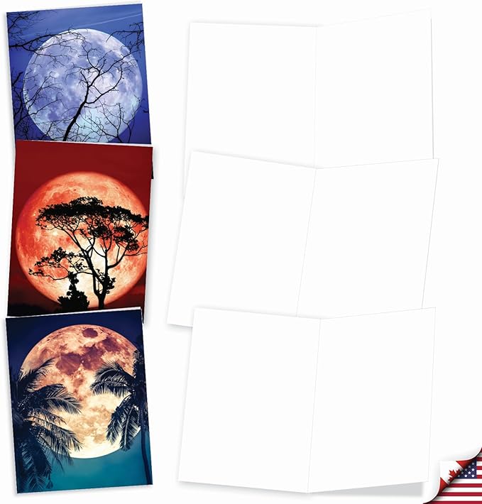 The Best Card Company - 20 Landscape Nature Note Cards Blank (4 x 5.12 Inch) (10 Designs, 2 Each) - Moonshine AM7169OCB-B2x10