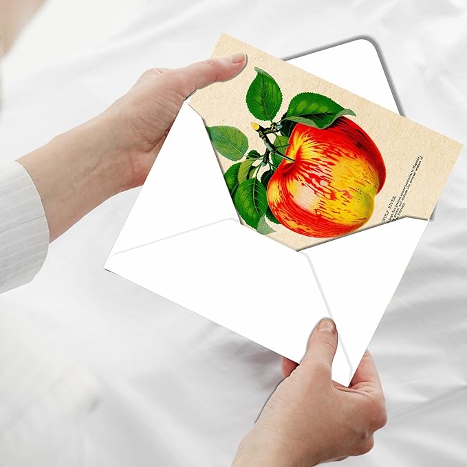 PARTH iMPEX 36 Blank Vintage Note Cards with Envelopes and Stickers – 4x6 Botanical Greeting Cards Bulk – Floral Birds Leaves Animal Retro All Occasion Thank You Cards for Personal Business Use