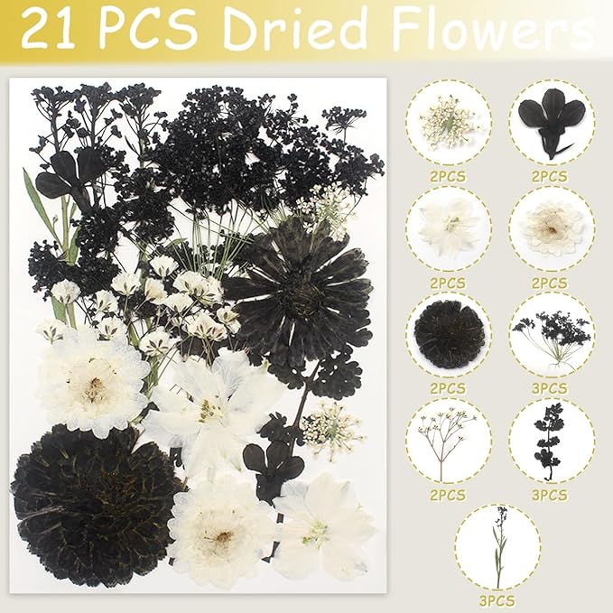 Real Dried Pressed Leaves Natural Dried Leaf for Candle Resin Jewelry Soap Nail Pendant Phone Case Crafts Making Floral Decors Scrapbooking DIY (63 Pcs Black Dried Leaves)