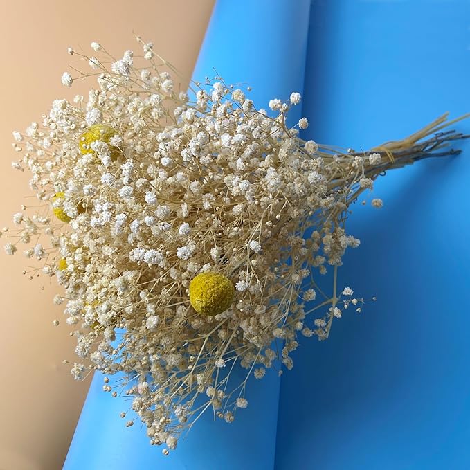 L'BREVOGA Baby's Breath Bulk with Billy Button, 16 inches Preserved Baby's Breath for Floral Arrangments Home Wedding Decoration (Gypsophila White)