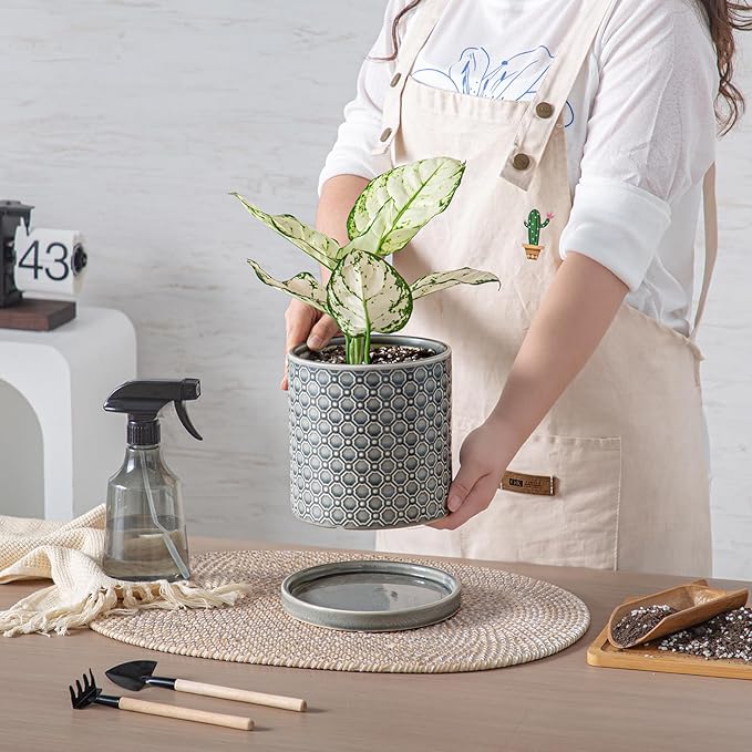 6 Inch Plant Pot: Ceramic Planter with Drainage Hole & Saucer Indoor Outdoor Plants - Cylinder Round Flower Pot for Home Office - Modern Decorative - Small Grey