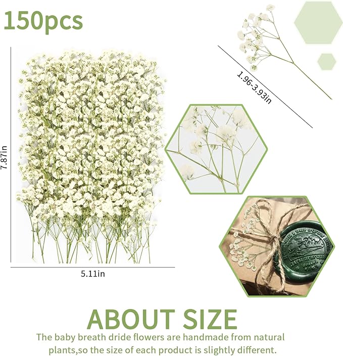 150Pcs Mini Dried Pressed White Baby’s Breath Flowers Bulk - Real Natural Flat Flowers for Epoxy Craft, Scrapbooking, Wedding Invitations, Home Decor, DIY Gifts for Crafters & Event Planners (150)