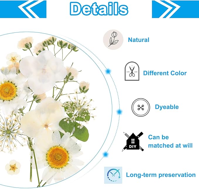 PATIKIL Dried Pressed Flowers, Real Dry Leaves Pressed Bloom for Scrapbook Supplies Card Making Resin Jewelry Making Soap Candle DIY Crafts, White