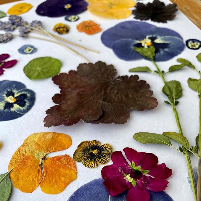 GTQYYF Large Flower Press Kit 10.8 x10.8 inches with Storage Bag,Solid Wood Flower Press Kit - DIY Arts and Craft Kit 10 -Layers, Ideal Gift for Flower & Plant Lovers