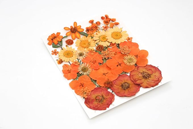 14 Types 37pcs Orange Dried Pressed Flowers for Resin Molds,YouthBro Real Natural Pressed Flowers for DIY Art Crafts,Candle Making, Nails Décor,Soap Making, Phone Case