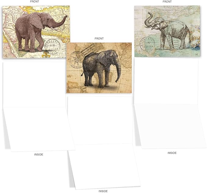 The Best Card Company - 10 Blank Animal Cards Boxed (4 x 5.12 Inch) - Assorted Pets, Zoo, Wildlife Cards for Kids - Trunk Mail M9636OCB