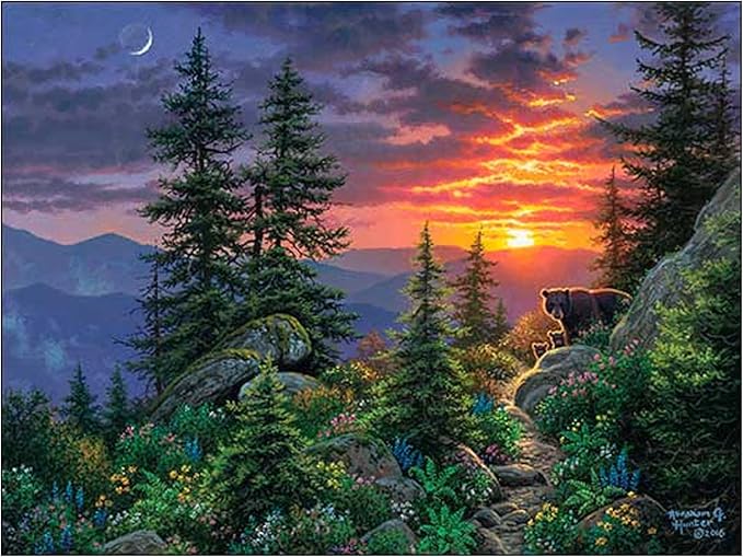 Leanin' Tree, Nature's Wonders, Greeting Cards Assortment Box, Assorted Cards with Envelopes, All Occasion, 20 Cards, 22 Envelopes