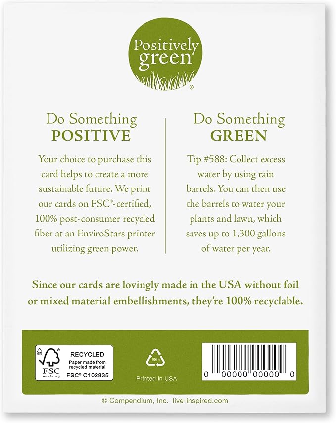 Compendium Positively Green 4-Pack of Birthday Cards – Nature (Four Different Designs, One Card Each, with Envelopes)