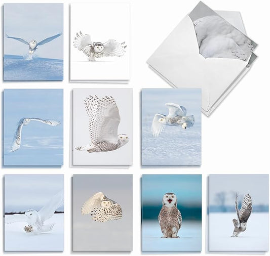 The Best Card Company - 20 Blank Note Cards with Envelopes (4 x 5.12 Inch) - All Occasion Animal Card Assortment (10 Designs, 2 Each) - Snowy Owls AM9518OCB-B2x10