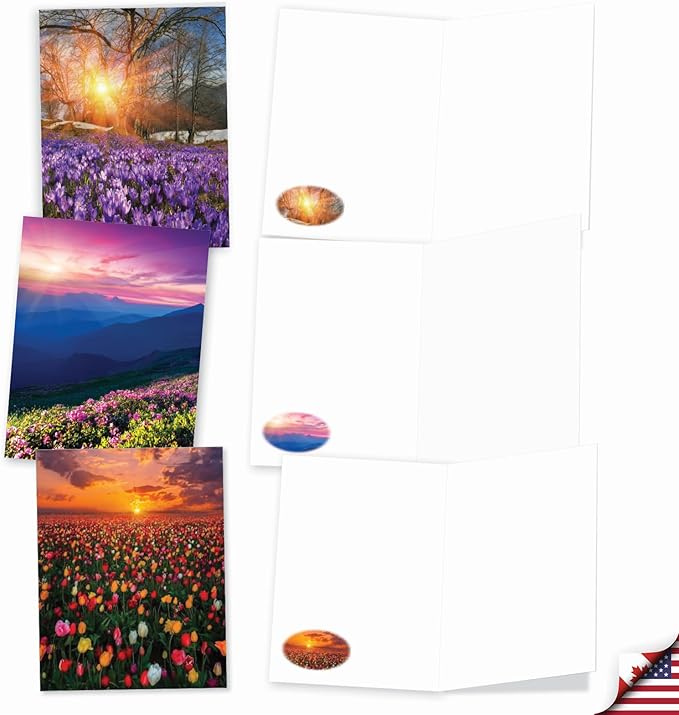 The Best Card Company - 20 Landscape Nature Note Cards Blank (4 x 5.12 Inch) (10 Designs, 2 Each) - Blooming Sunsets AM9263OCB-B2x10