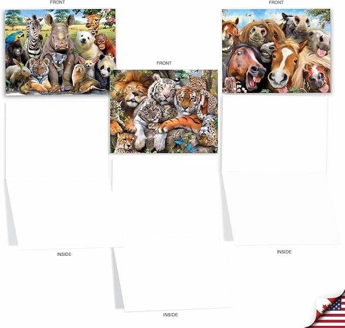 The Best Card Company - 20 Assorted Bulk Animal Cards Boxed (4 x 5.12 Inch) (10 Designs, 2 Each) - Here's Looking At Zoo AM6639OCB-B2x10