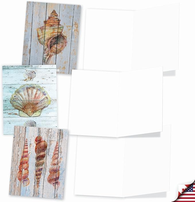The Best Card Company - 10 Blank Note Cards with Envelopes (4 x 5.12 Inch) - Bulk All Occasion Cards Boxed - Seashell Driftwood AM6118OCB-B1x10